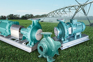 Irrigation & Agricultural Pumps